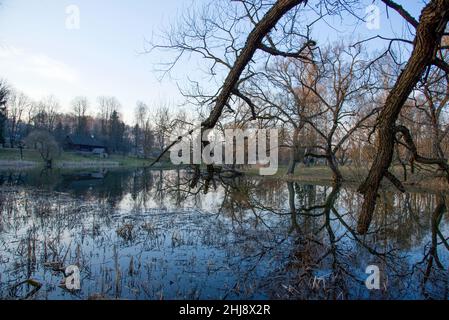 Ancienne maison en bois au bord de la forêt près du lac au printemps.Village de pêcheurs.Extérieur traditionnel de style soviétique ou russe Banque D'Images