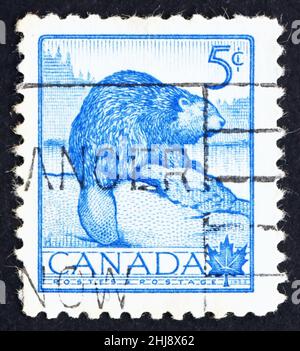 CANADA - VERS 1954 : un timbre imprimé au Canada montre Beaver, semaine nationale de la faune, vers 1954 Banque D'Images