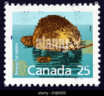 CANADA - VERS 1988 : un timbre imprimé au Canada montre Beaver, Castor, Animal, vers 1988 Banque D'Images
