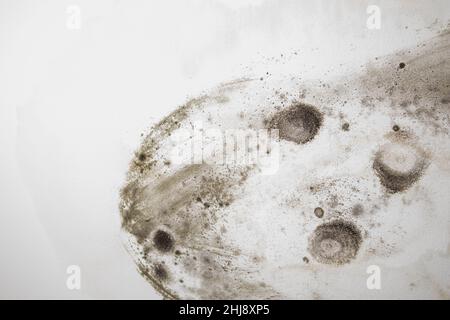 Beaucoup de moisissures sur le plafond blanc Banque D'Images