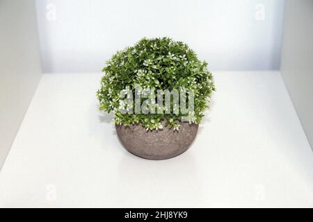 Une plante artificielle verte isolée avec des fleurs et un vase gris sur une étagère blanche Banque D'Images