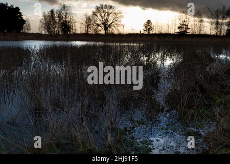 Un étang ou un simple avec un marécage comme l'apparence au coucher du soleil un jour pluvieux et de réflexion dans l'eau Banque D'Images