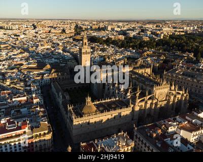 Vue spectaculaire sur la cathédrale de Séville dans la vieille ville de Séville avec son célèbre clocher Giralda en Andalousie en Espagne Banque D'Images