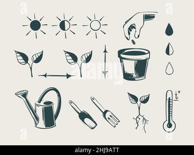 Instructions étape par étape pour la plantation de semences de plantes et de fleurs. Les icônes vectorielles du processus de plantation et de croissance des graines, des taux d'arrosage Illustration de Vecteur