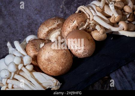 Champignons des variétés Agaricus brunnescens, shimeji blanc, shimeji brun et pleurotus erynguii pour un repas sain Banque D'Images