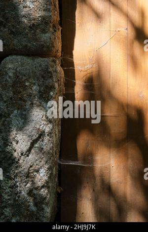 Toiles d'araignée sur porte en bois, saleté et négligence Banque D'Images