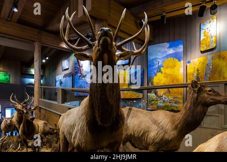 Jackson Hole and Greater Yellowstone Visitor Center on the National Elk refuge, Jackson, Wyoming, États-Unis [l'image inclut des œuvres protégées par le droit d'auteur; l'éditorial de poux Banque D'Images