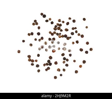 Gros plan séparé poivre noir grains déversés et répartis autour isolé sur fond blanc, vue de dessus en hauteur, directement au-dessus Banque D'Images