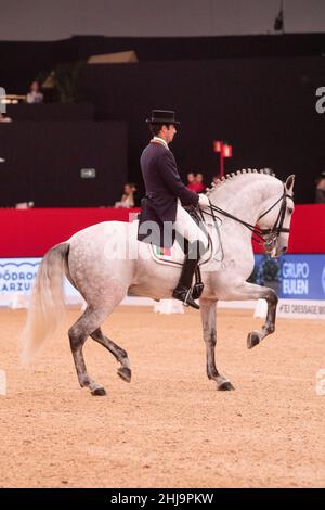 Rodrigo Torres por avec Fogoso lors du championnat européen de dressage de Longines FEI 2019 le 30 2019 novembre à Madrid, Espagne Banque D'Images