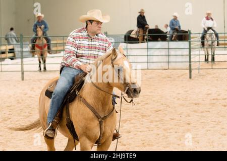 Exposition collective d'un travail de coupe de l'Ouest à la semaine du cheval de madrid 2019 Banque D'Images