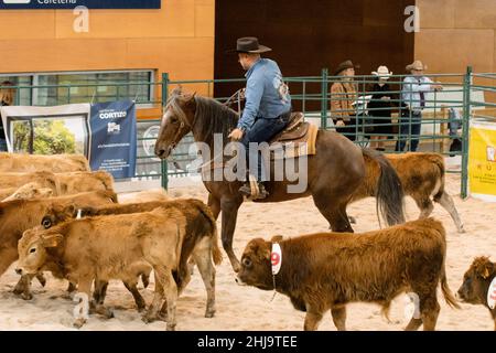 Exposition collective d'un travail de coupe de l'Ouest à la semaine du cheval de madrid 2019 Banque D'Images