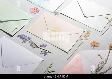 Composition avec fleurs séchées pressées et enveloppes sur fond clair Banque D'Images