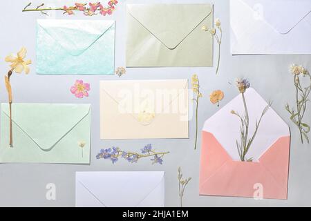 Composition avec fleurs séchées pressées et enveloppes sur fond clair Banque D'Images