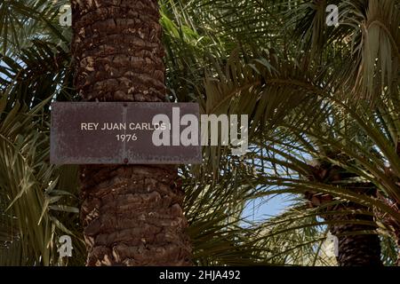 Palmiers baptisés avec le nom d'illustres visiteurs dans le Huerto del Cura dans la ville d'Elche, province d'Alicante, Espagne, le roi Juan Carlos. Banque D'Images