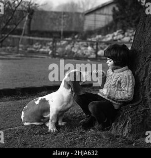 Caroline Williams, de Northwood Hills, âgée de cinq ans, et Pennybasset, un chiot de Benet Hound, âgé de cinq mois.21st février 1964. Banque D'Images