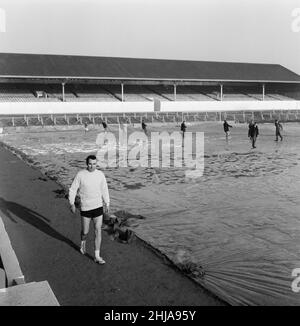 Alan Gilzean, Spurs, nouvelle signature de Dundee, au coût de 72 500 livres, à White Hart Lane, pour s'entraîner avant le match contre Everton, quand il fera ses débuts, photographié le vendredi 18th décembre 1964.Notre photo montre ...Alan Gilzean orks autour du périmètre du terrain alors que le personnel du sol retire la couche protectrice de la surface. Banque D'Images