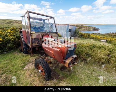 Vue de la colonie de moutons abandonnée en 1992 sur l'île Keppel, dans les Malouines. Banque D'Images