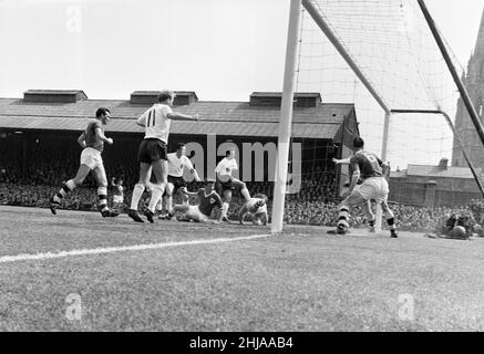 Match international de la République d'Irlande contre l'Angleterre à Dalymount Park, Dublin.Johnny Byrne a marqué le deuxième but de l'Angleterre dans la victoire de 1-3.21st mai 1964. Banque D'Images