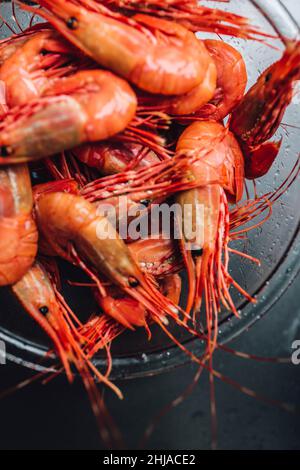 préparer des crevettes fraîches à l'extérieur pendant le camping Banque D'Images