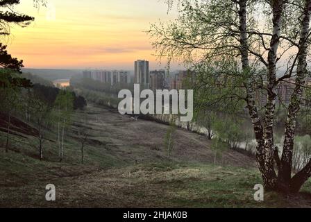 Haute pente raide, troncs de bouleau, maisons hautes sur la rive d'une rivière sinueuse, ciel doré.Novosibirsk, Sibérie, Russie, 2020 Banque D'Images