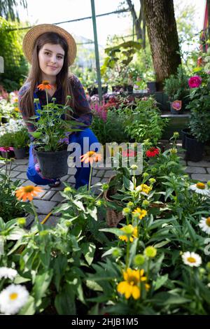 Une vendeuse tient un pot d'asters fleuris dans sa main.Garden Shop. Banque D'Images