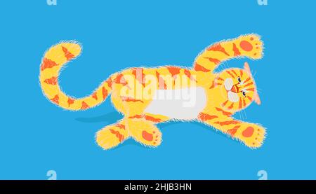chat jouant quelque chose et flop sur fond bleu pastel. illustration vectorielle eps10 Illustration de Vecteur