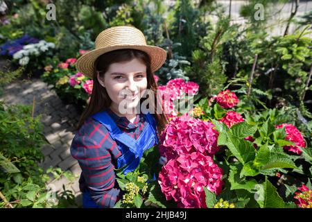 Portrait d'une travailleuse féminine en fleurs d'hortensia roses.Garden Shop. Banque D'Images