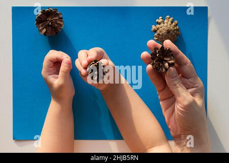 Vue de dessus des mains d'enfant et des mains d'adulte tenant des bosses sur fond bleu Banque D'Images