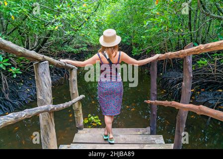 Femme dans un chapeau sur un escalier en bois dans la forêt de mangrove, Zanzibar, Tanzanie Banque D'Images