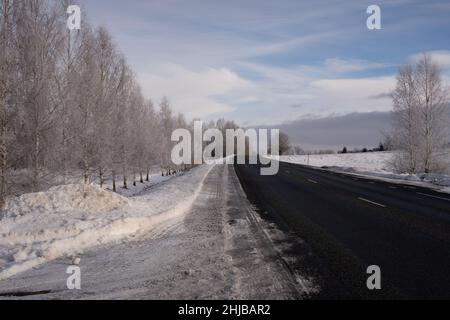 Bouleau givré près de la route noire glissante dans la campagne de la Lettonie Banque D'Images