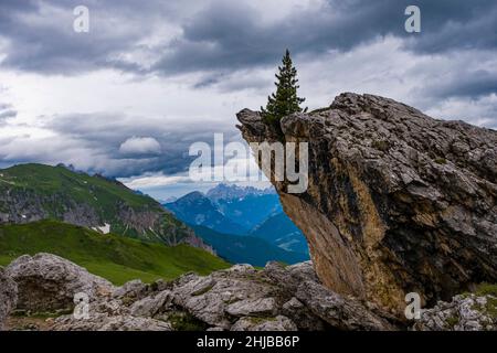 Un petit pin poussant au sommet d'une roche, des collines et des sommets des Dolomites au loin. Banque D'Images