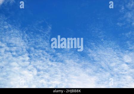 Magnifique Altocumulus blanc nuages dispersés sur le ciel bleu vif Banque D'Images