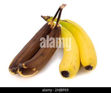 Banane normale et trop mûre isolée sur fond blanc Banque D'Images