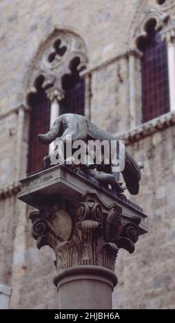 ESCULTURA DE LA LOBA CAPITOLINA CON ROMULO Y REMO.Emplacement : EXTÉRIEUR.SIENNE.ITALIE. Banque D'Images