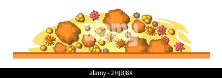 Vue de dessus semi-ellipse paysage automne.Scène avec des arbres et des buissons jaunes et orange de hauteur.Au-dessus de la campagne.Bordure horizontale.Bande dessinée illus Illustration de Vecteur