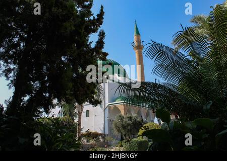 mosquée et allée dans la vieille ville d'akkon, israël Banque D'Images