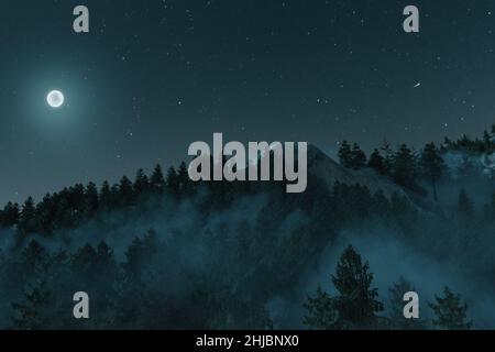 3d rendu de la montagne brumeuse entourée de pins dans la nuit étoilée illuminée de lune Banque D'Images