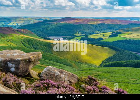 Vue sur Ladybower Reservoir et la fleur de bruyère pourpre sur Derwent Edge, Peak District National Park, Derbyshire, Angleterre, Royaume-Uni, Europe Banque D'Images