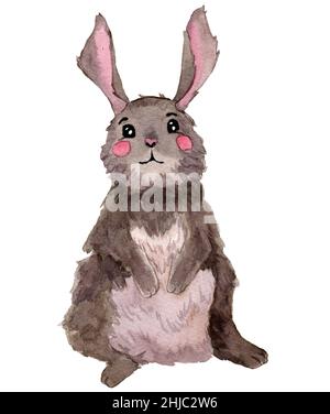 Un petit lapin mignon aquarelle dessiné à la main. Lapin gris assis seul et souriant. Illustration de carte postale pour enfants en style dessin animé. Design pour la douche de bébé Banque D'Images