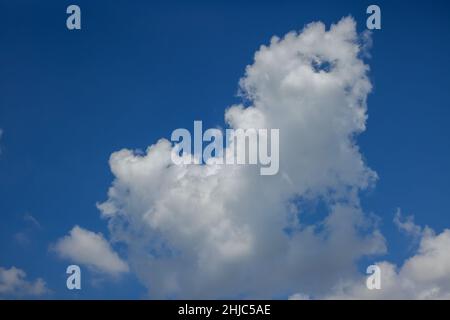 Des nuages blancs étonnants cumulus flottant sur la composition naturelle du ciel lumière du jour Banque D'Images