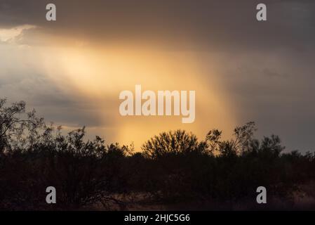 Ciel orageux avec lumière du soleil sur le désert de Sonoran à Phoenix, Arizona, États-Unis. Banque D'Images