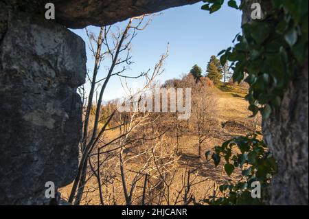 Hiver nature dans un cadre rocheux Banque D'Images