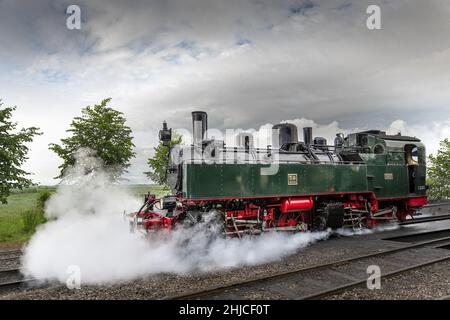 Train touristique de la Baie de somme , chemins de fer économiques Banque D'Images