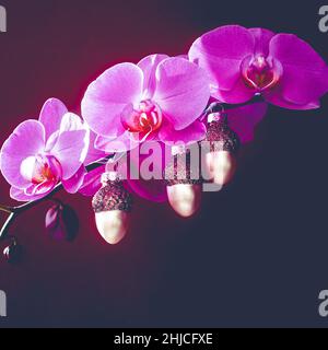 Branche d'une orchidée en fleurs décorée d'une guirlande de Noël. Banque D'Images