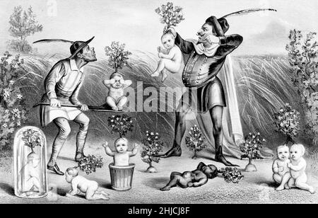 Origine de l'espèce, illustration satirique de Currier et Ives, 1874.Les bébés sont tirés du sol comme des plantes.Darwin's on the Origin of Species a été publié pour la première fois en 1859. Banque D'Images