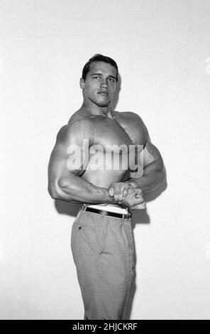 Arnold Schwarzenegger (né en 1947) comme constructeur de corps en 1960s et 1970s.Il a été un pionnier dans l'industrie, gagnant de nombreux prix et aidant à promouvoir sa popularité auprès du grand public.Il est devenu un acteur dans les films d'action et le gouverneur de la Californie. Banque D'Images