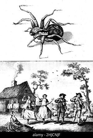 Gravure historique montrant des personnes dansant et jouant de la musique comme un antidote à une morsure de tarantula.Entre les 15th et 17th siècles, Taranto, en Italie, a été frappé par une folie dansante après la montée d'une maladie caractérisée par l'impulsion hystérique à la danse.Cela est devenu connu sous le nom de tarantisme.Certains prétendent que le tarantisme a été causé par la morsure de l'araignée du loup européen connue sous le nom de tarantula (nommée d'après Taranto).Le seul remède était de danser sur le venin. Banque D'Images