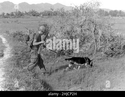 SP4 Bealock et chien scout 'Chief' (Berger allemand) en patrouille au Vietnam, vers 1960s/1970s. Banque D'Images