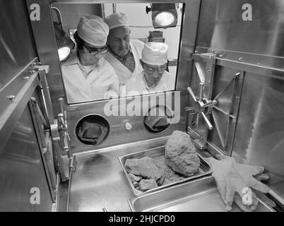 Dans le laboratoire de réception lunaire du centre spatial habité de la NASA‚Äôs, les géologues Don Morrison (à gauche) et Fred Horz flanquent le géologue/professeur William (Bill) Muehlberger de l'Université du Texas alors que les trois regardent un rocher ramené de la lune par les astronautes Apollo 16.L'échantillon lunaire 61016, mieux connu sous le nom de ‚ÄòBig Muley‚Äô, est un grand échantillon de brèche, le plus grand rocher lunaire retourné par toute équipe d'Apollo, qui a été nommé d'après Muehlberger, le chef de l'équipe de géologie de terrain d'Apollo 16.19 mai 1972. Banque D'Images