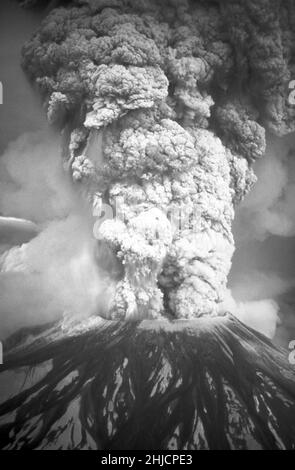L'éruption du 18 mai 1980 a envoyé des cendres volcaniques, de la vapeur, de l'eau et des débris à une hauteur de 60 000 pieds.La montagne a perdu 1 300 pieds d'altitude et environ 2/3 d'un mille cube de matériau coulent vers le bas à partir du centre du panache et la formation et le mouvement des écoulements pyroclastiques s'écoulent vers le bas du flanc gauche du volcan.18 mai 1980. Banque D'Images